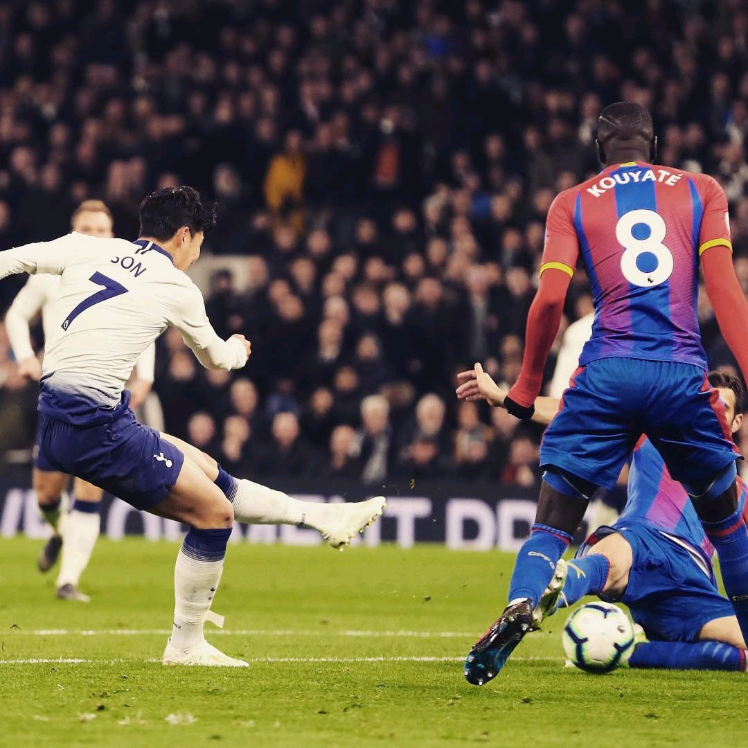 我们或许可 我们或许可