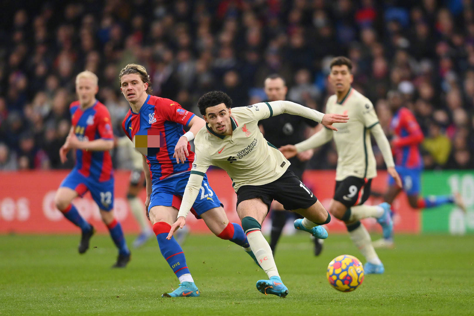 发展和团队 发展和团队